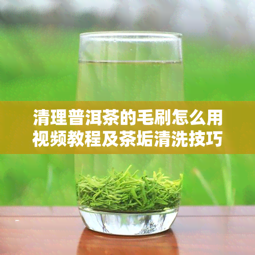 清理普洱茶的毛刷怎么用视频教程及茶垢清洗技巧