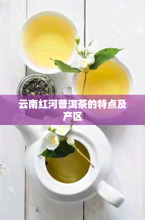 云南红河普洱茶的特点及产区