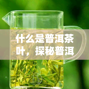 什么是普洱茶叶，探秘普洱茶叶：了解这一中国传统饮品的起源与特点