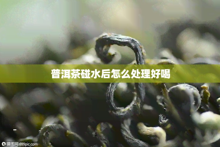 普洱茶碰水后怎么处理好喝