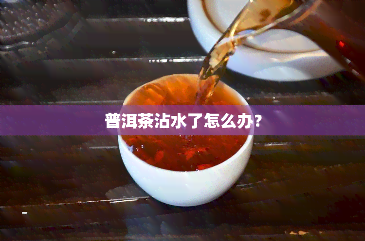 普洱茶沾水了怎么办？