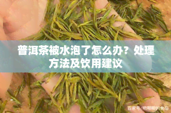 普洱茶被水泡了怎么办？处理方法及饮用建议