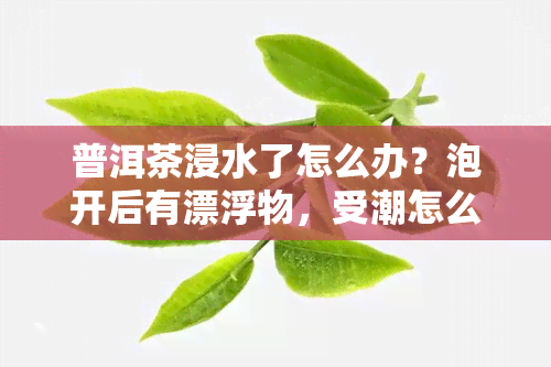 普洱茶浸水了怎么办？泡开后有漂浮物，受潮怎么处理？