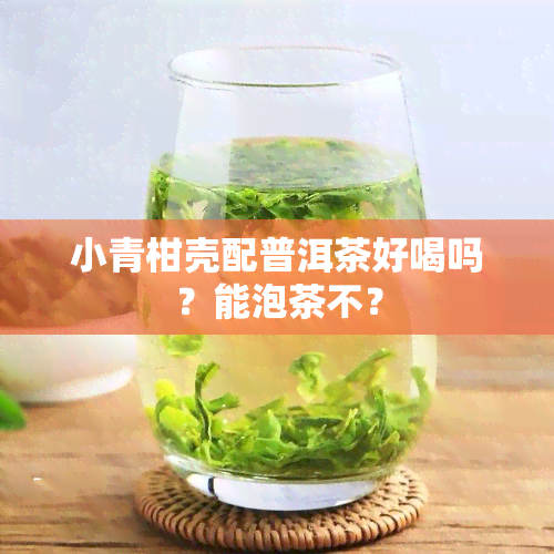 小青柑壳配普洱茶好喝吗？能泡茶不？