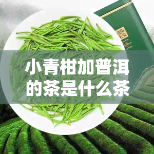 小青柑加普洱的茶是什么茶？能共用一个茶壶吗？有何区别？