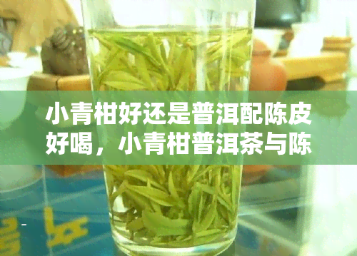 小青柑好还是普洱配陈皮好喝，小青柑普洱茶与陈皮普洱茶有区别吗？