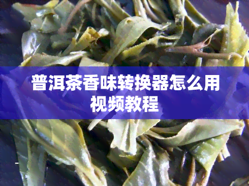 普洱茶香味转换器怎么用视频教程