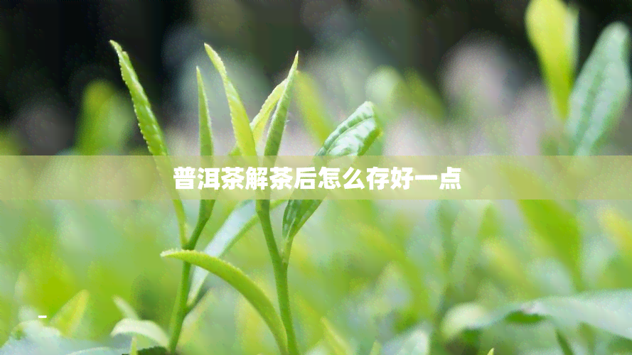 普洱茶解茶后怎么存好一点