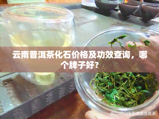 云南普洱茶化石价格及功效查询，哪个牌子好？