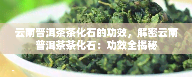 云南普洱茶茶化石的功效，解密云南普洱茶茶化石：功效全揭秘