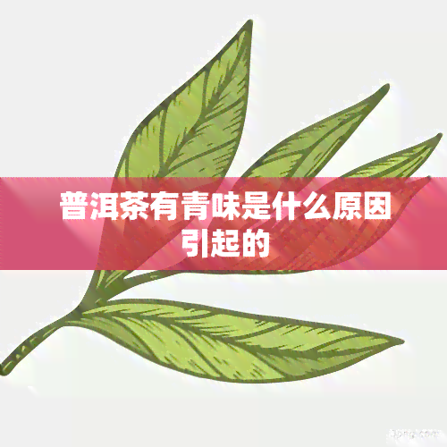 普洱茶有青味是什么原因引起的