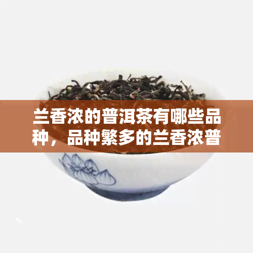 兰香浓的普洱茶有哪些品种，品种繁多的兰香浓普洱茶大揭秘