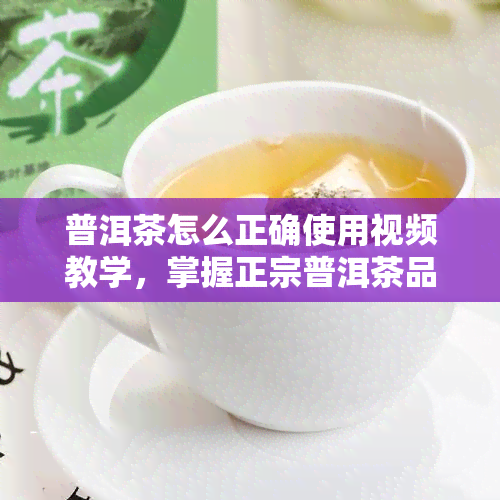 普洱茶怎么正确使用视频教学，掌握正宗普洱茶品饮技巧：视频教学详解