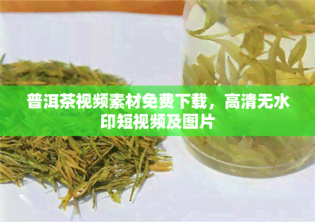 普洱茶视频素材免费下载，高清无水印短视频及图片