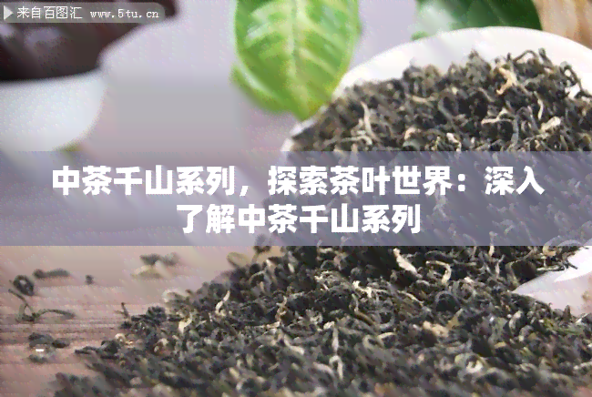 中茶千山系列，探索茶叶世界：深入了解中茶千山系列