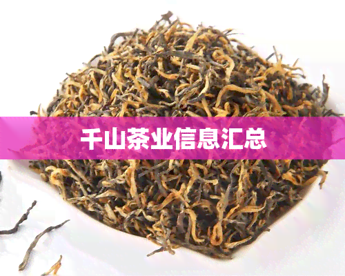 千山茶业信息汇总