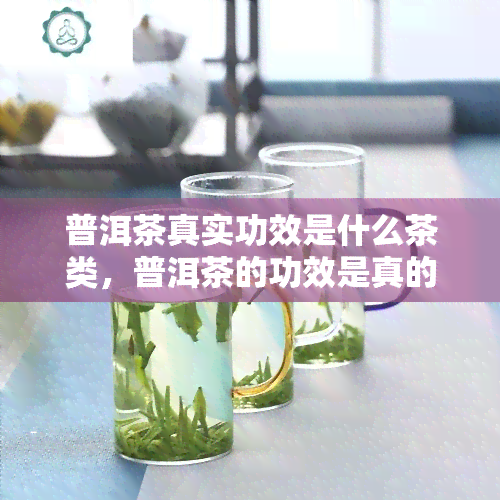 普洱茶真实功效是什么茶类，普洱茶的功效是真的吗？