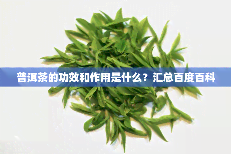 普洱茶的功效和作用是什么？汇总百度百科