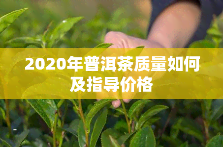 2020年普洱茶质量如何及指导价格