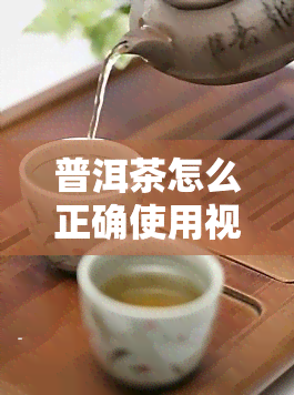 普洱茶怎么正确使用视频教程