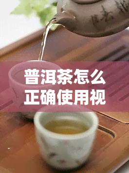 普洱茶怎么正确使用视频讲解教程