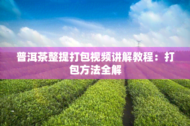 普洱茶整提打包视频讲解教程：打包方法全解