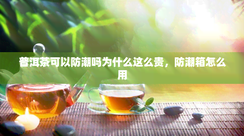 普洱茶可以防潮吗为什么这么贵，防潮箱怎么用