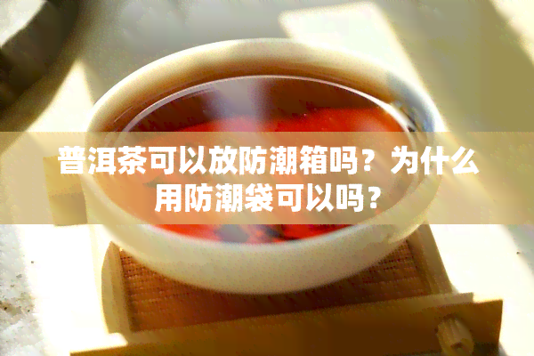 普洱茶可以放防潮箱吗？为什么用防潮袋可以吗？