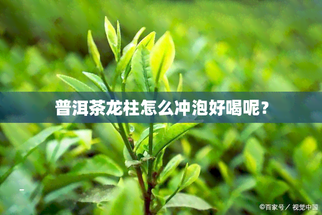 普洱茶龙柱怎么冲泡好喝呢？