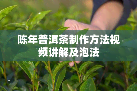 陈年普洱茶制作方法视频讲解及泡法