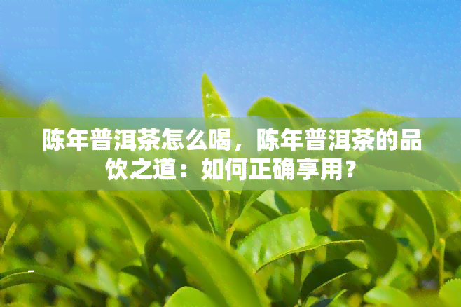 陈年普洱茶怎么喝，陈年普洱茶的品饮之道：如何正确享用？