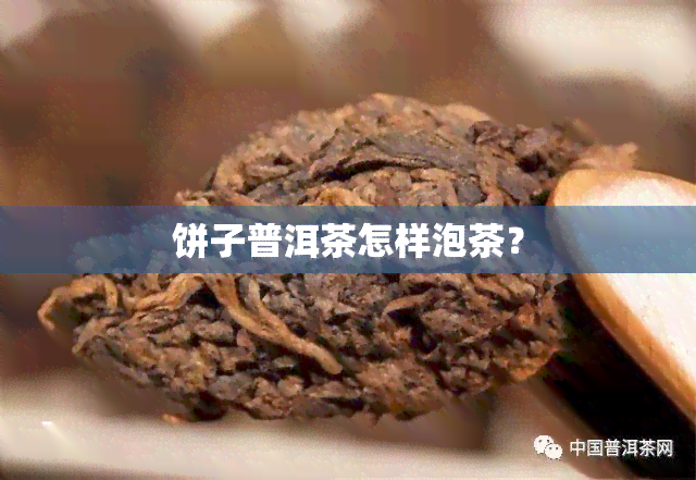 饼子普洱茶怎样泡茶？