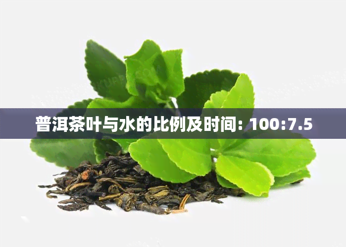 普洱茶叶与水的比例及时间: 100:7.5