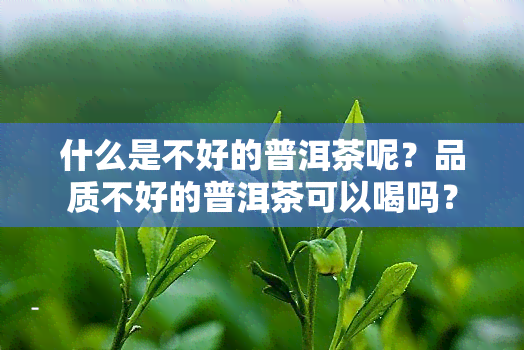 什么是不好的普洱茶呢？品质不好的普洱茶可以喝吗？