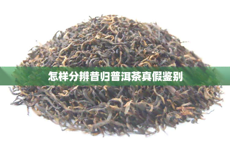 怎样分辨昔归普洱茶真假鉴别