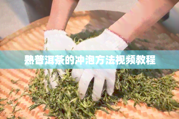 熟普洱茶的冲泡方法视频教程