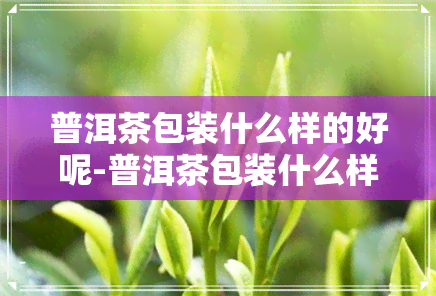 普洱茶包装什么样的好呢-普洱茶包装什么样的好呢图片