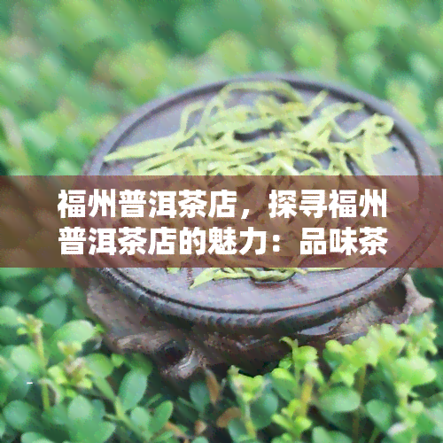 福州普洱茶店，探寻福州普洱茶店的魅力：品味茶香与文化交融