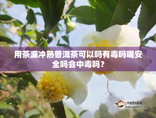 用茶漏冲熟普洱茶可以吗有吗喝安全吗会中吗？