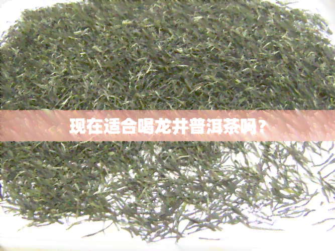 现在适合喝龙井普洱茶吗？