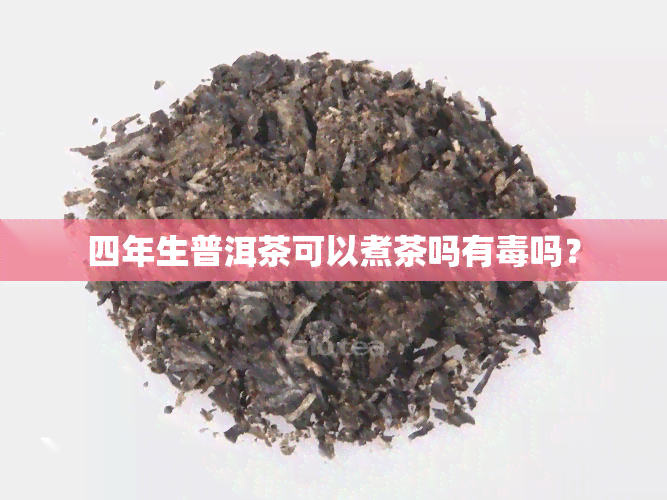 四年生普洱茶可以煮茶吗有吗？