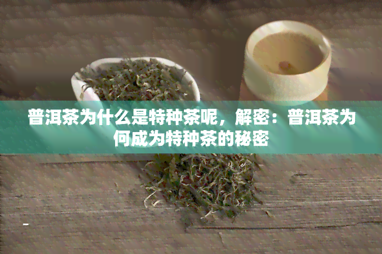 普洱茶为什么是特种茶呢，解密：普洱茶为何成为特种茶的秘密