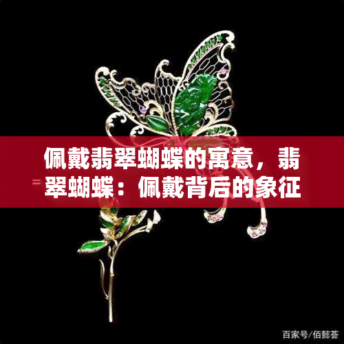 佩戴翡翠蝴蝶的寓意，翡翠蝴蝶：佩戴背后的象征意义