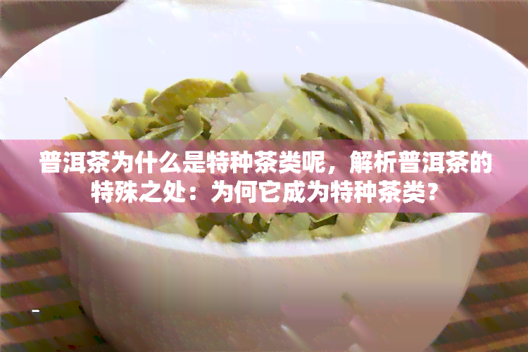 普洱茶为什么是特种茶类呢，解析普洱茶的特殊之处：为何它成为特种茶类？