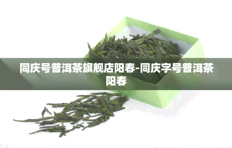 同庆号普洱茶旗舰店阳春-同庆字号普洱茶阳春