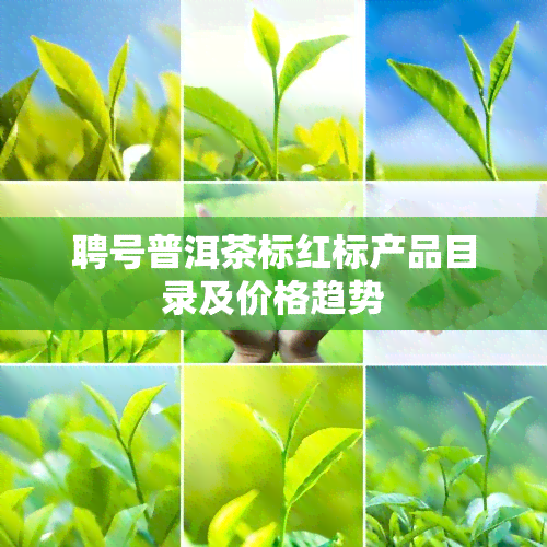 聘号普洱茶标红标产品目录及价格趋势