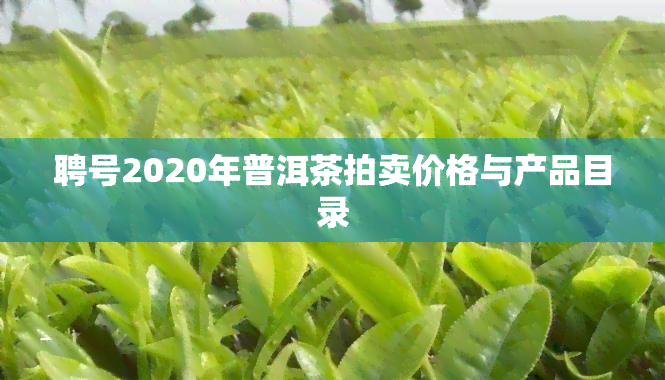 聘号2020年普洱茶拍卖价格与产品目录