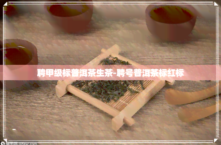 聘甲级标普洱茶生茶-聘号普洱茶标红标