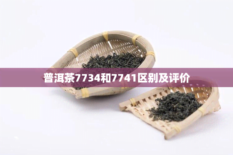 普洱茶7734和7741区别及评价