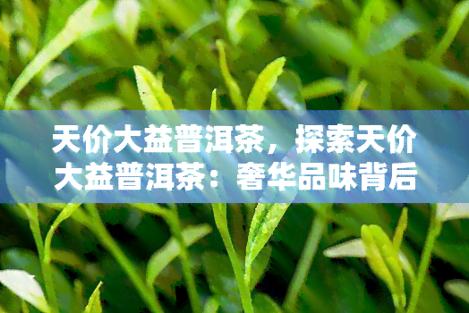 天价大益普洱茶，探索天价大益普洱茶：奢华品味背后的秘密